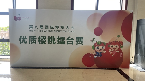 擂台赛.jpg
