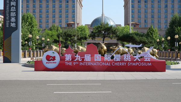 大会1.jpg